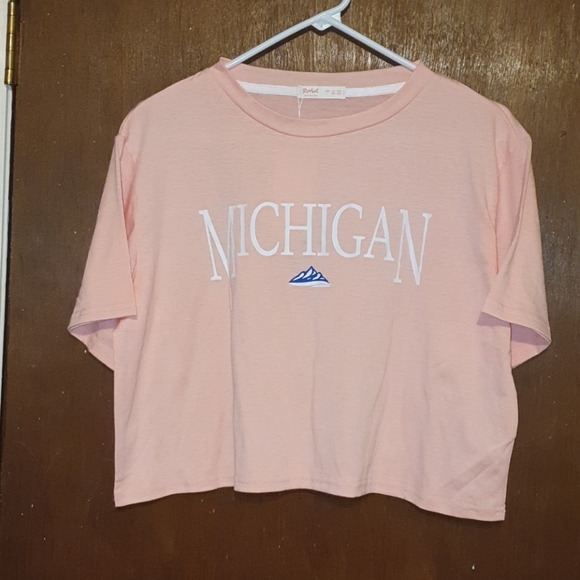 ROMWE Tops - Romwe pink Michigan crop top